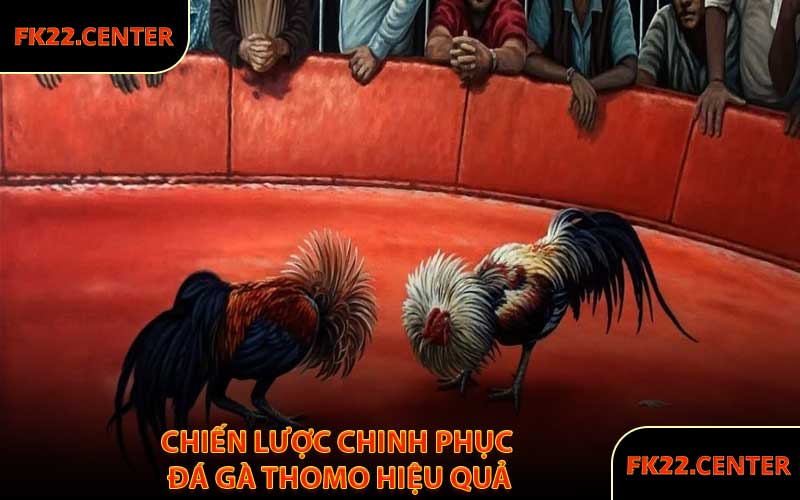 Chiến Lược Chinh Phục Đá Gà Thomo Hiệu Quả
