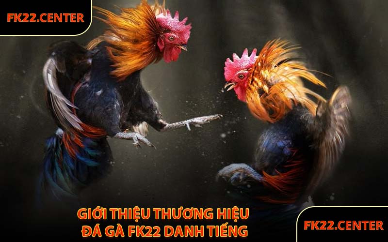 Giới Thiệu Thương Hiệu Đá Gà FK22 Danh Tiếng